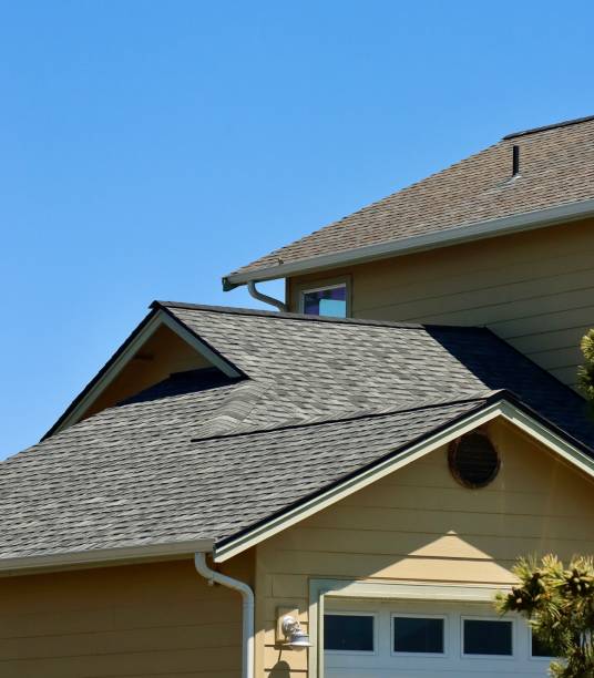 Best Roof Moss and Algae Removal  in Southern Pines, NC